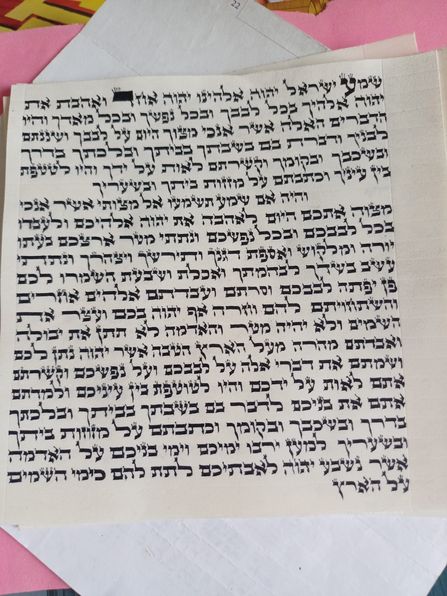 קלף קלף מזוזה חב"ד (האדמו"ר הזקן) כ-10 ס"מ — מהודר א׳