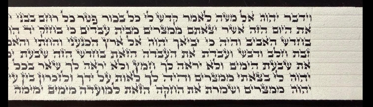 פרשיית תפילין חב״ד — צילום מסובב לקריאה