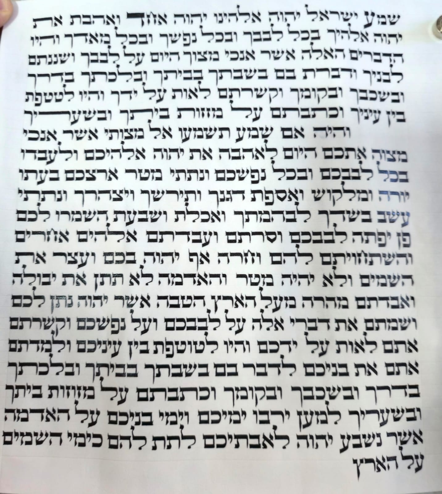 קלף קלף מזוזה ספרדי (וואליש) כ-10 ס"מ — מהודר א׳
