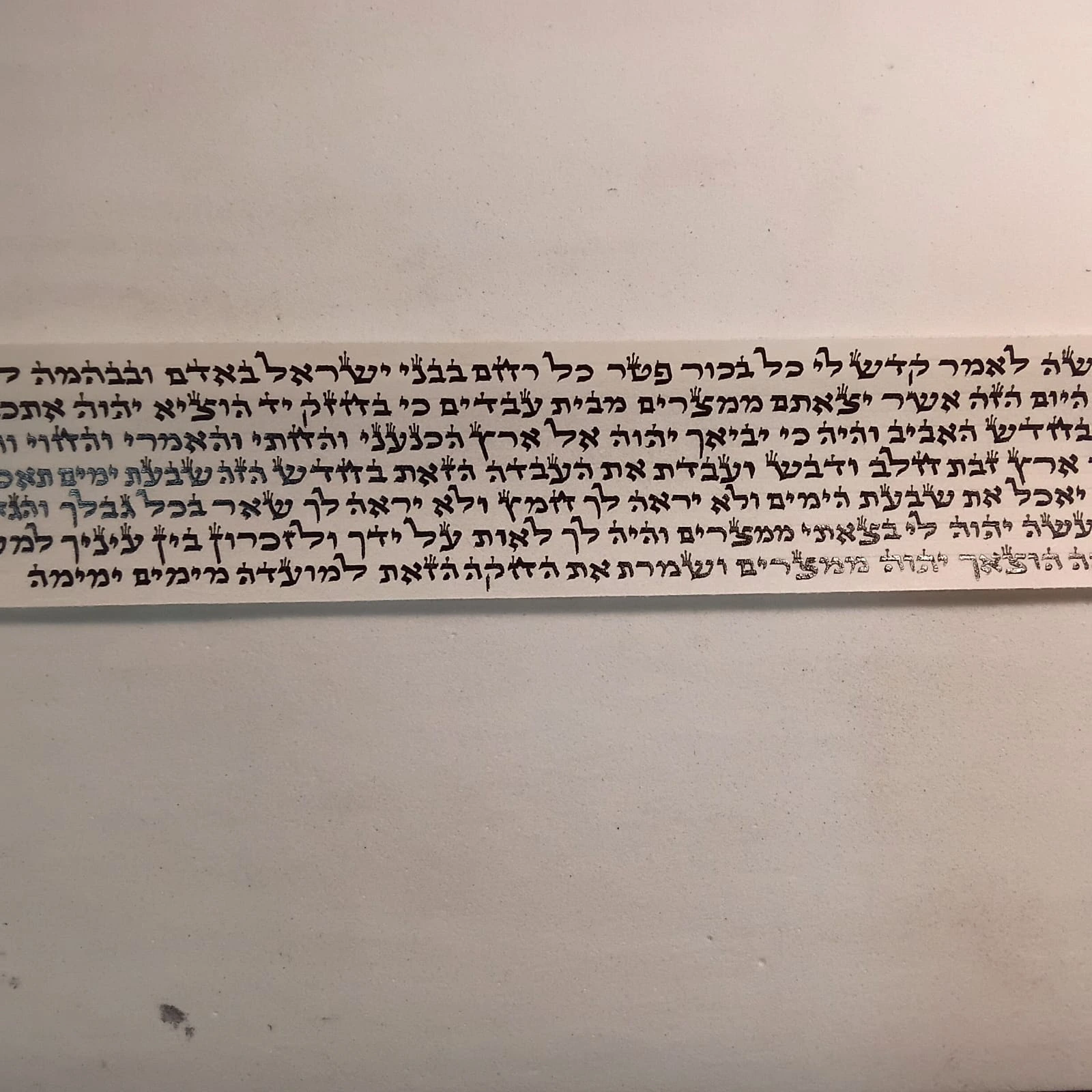 פרשייה בכתב ספרדי
