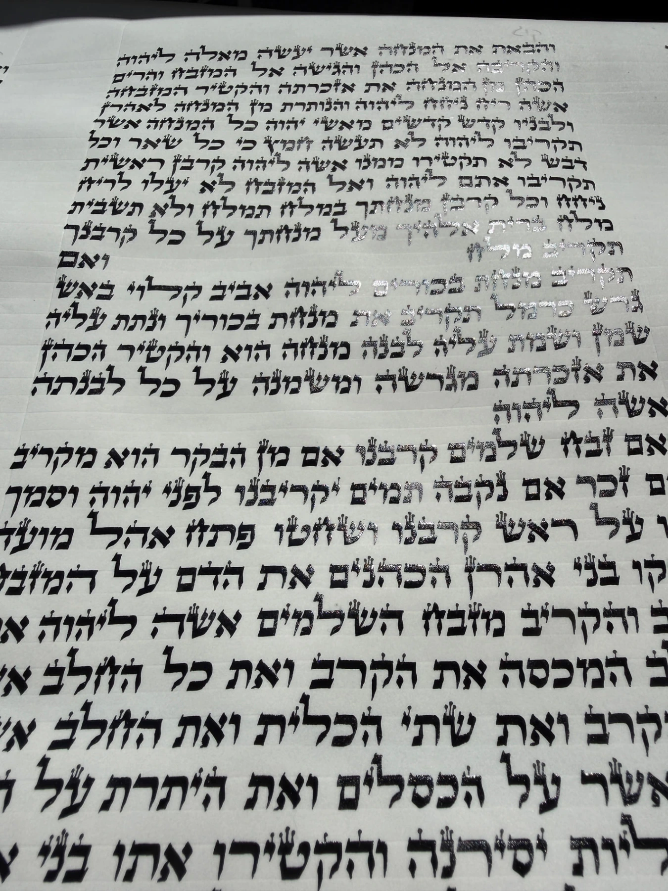 צילום כתב ספר התורה הספרדי המהודר