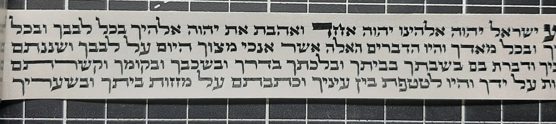 תקריב פרשייה ספרדית — צילום מסובב לקריאה